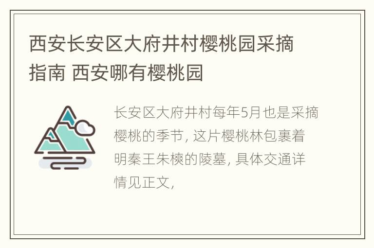 西安长安区大府井村樱桃园采摘指南 西安哪有樱桃园