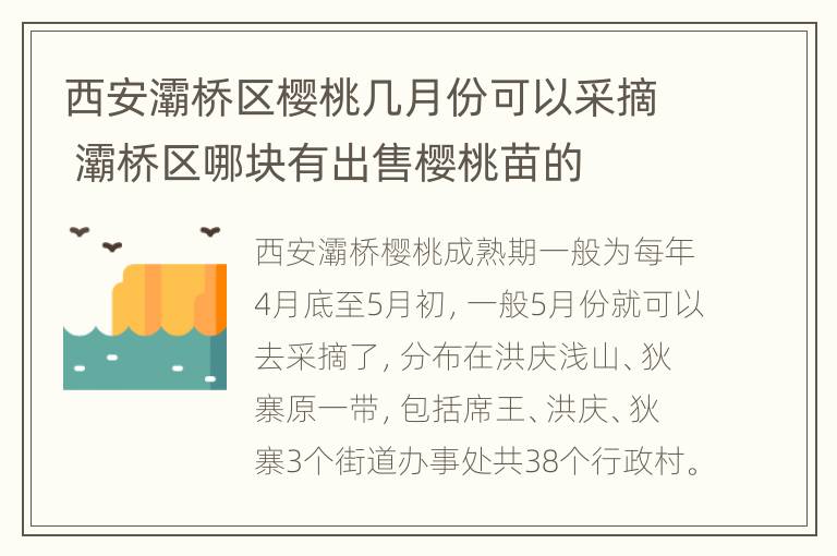 西安灞桥区樱桃几月份可以采摘 灞桥区哪块有出售樱桃苗的