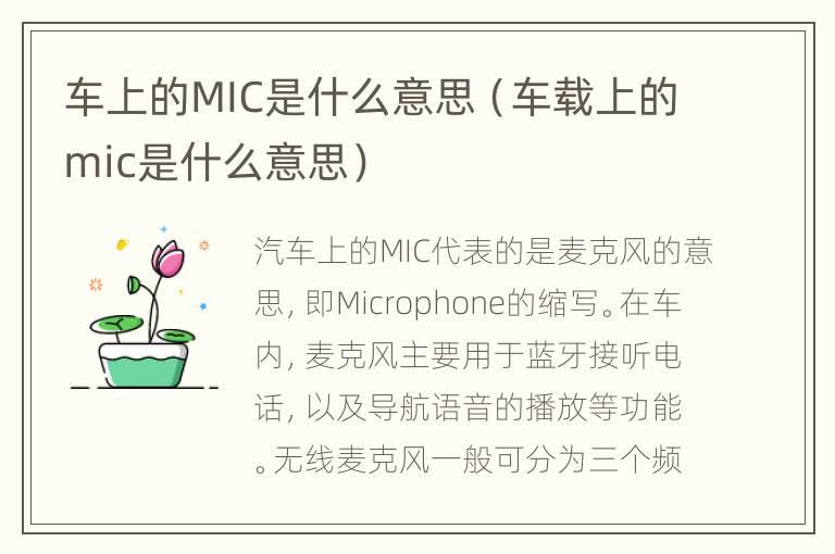 车上的MIC是什么意思（车载上的mic是什么意思）