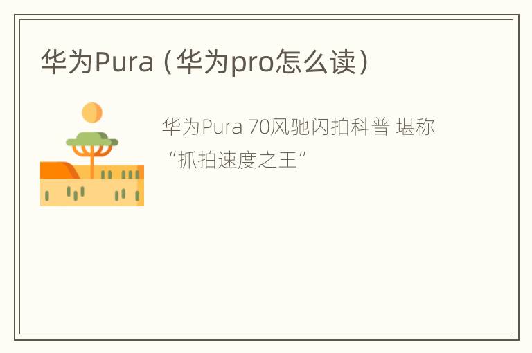 华为Pura（华为pro怎么读）