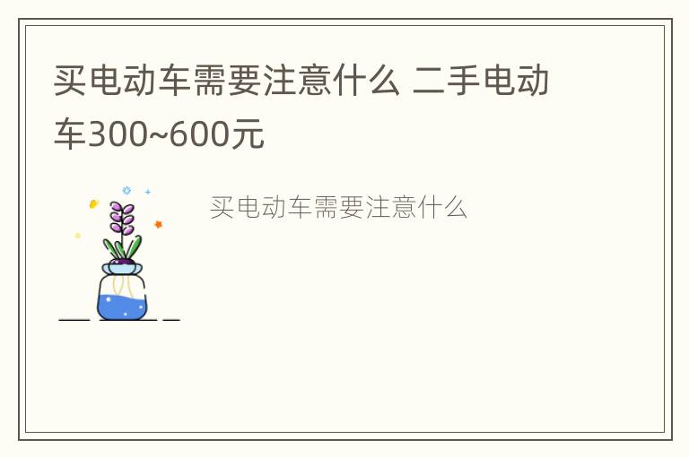 买电动车需要注意什么 二手电动车300~600元