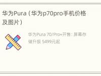 华为Pura（华为p70pro手机价格及图片）