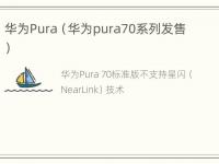 华为Pura（华为pura70系列发售）