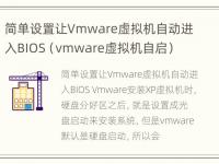 简单设置让Vmware虚拟机自动进入BIOS（vmware虚拟机自启）