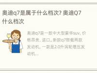 奥迪q7是属于什么档次? 奥迪Q7什么档次