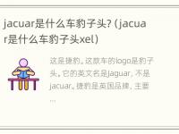 jacuar是什么车豹子头?（jacuar是什么车豹子头xel）