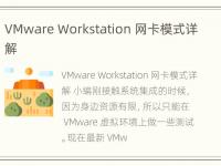 VMware Workstation 网卡模式详解