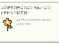 华为P系列升级为华为Pura（华为p系什么时候更新）