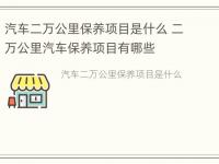 汽车二万公里保养项目是什么 二万公里汽车保养项目有哪些