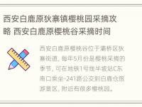 西安白鹿原狄寨镇樱桃园采摘攻略 西安白鹿原樱桃谷采摘时间