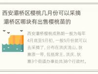 西安灞桥区樱桃几月份可以采摘 灞桥区哪块有出售樱桃苗的