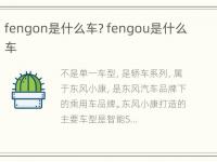 fengon是什么车? fengou是什么车