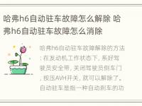 哈弗h6自动驻车故障怎么解除 哈弗h6自动驻车故障怎么消除