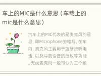 车上的MIC是什么意思（车载上的mic是什么意思）