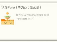 华为Pura（华为pro怎么读）