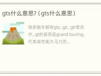 gts什么意思?（gts什么意思）