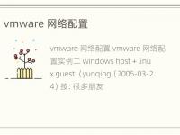 vmware 网络配置