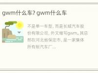 gwm什么车? gwm什么车