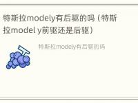 特斯拉modely有后驱的吗（特斯拉model y前驱还是后驱）