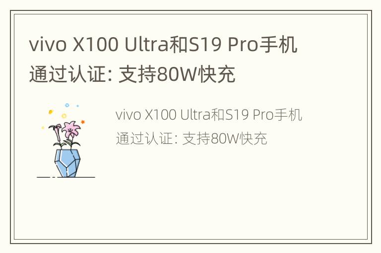 vivo X100 Ultra和S19 Pro手机通过认证：支持80W快充