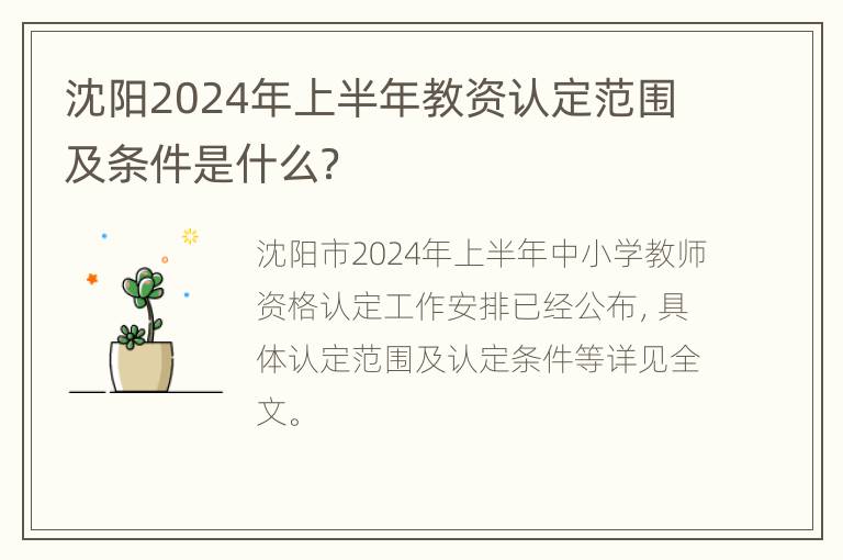 沈阳2024年上半年教资认定范围及条件是什么？