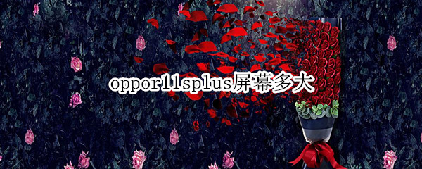 oppor11splus屏幕多大 oppor11splus屏幕多大尺寸