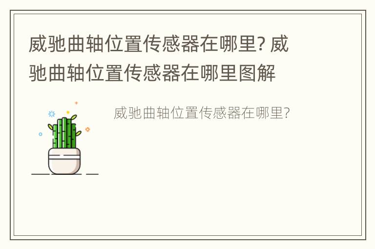 威驰曲轴位置传感器在哪里? 威驰曲轴位置传感器在哪里图解