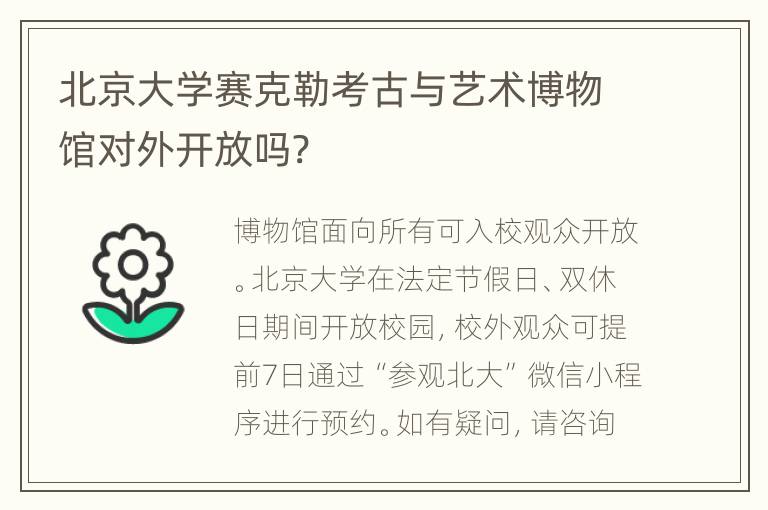 北京大学赛克勒考古与艺术博物馆对外开放吗?