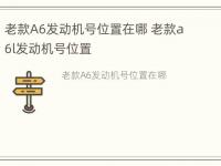 老款A6发动机号位置在哪 老款a6l发动机号位置