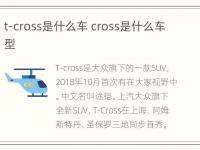 t-cross是什么车 cross是什么车型