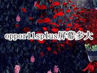 oppor11splus屏幕多大 oppor11splus屏幕多大尺寸