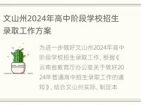 文山州2024年高中阶段学校招生录取工作方案