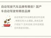 自动驾驶汽车品牌有哪些？ 国产车自动驾驶有哪些品牌