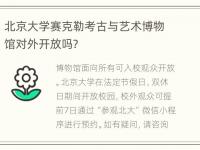 北京大学赛克勒考古与艺术博物馆对外开放吗?