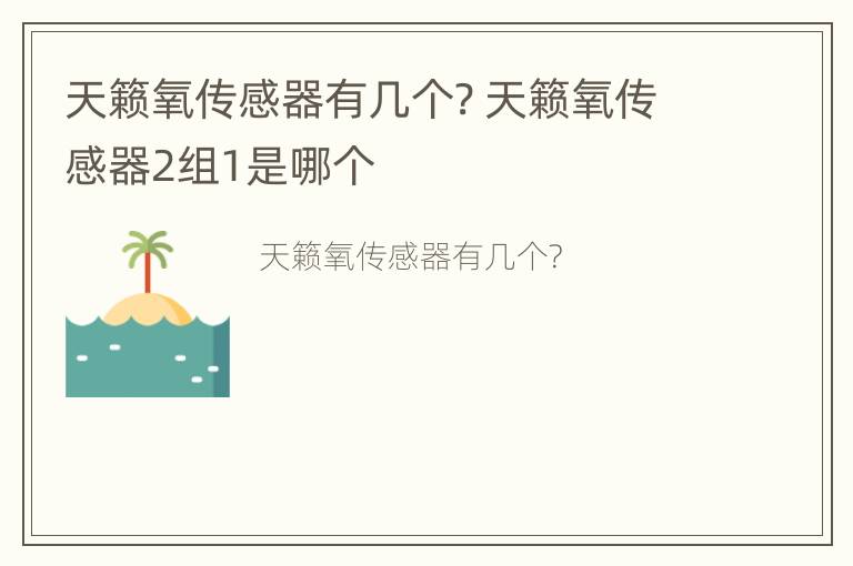 天籁氧传感器有几个? 天籁氧传感器2组1是哪个