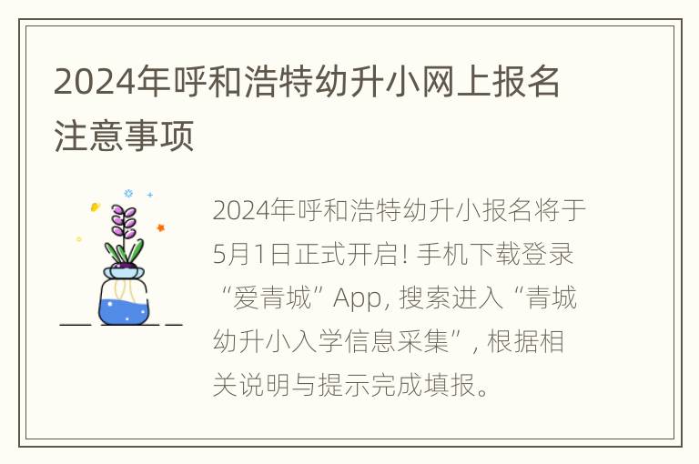 2024年呼和浩特幼升小网上报名注意事项