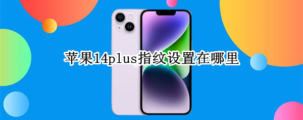 苹果14plus指纹设置在哪里（ios14指纹设置在哪里）