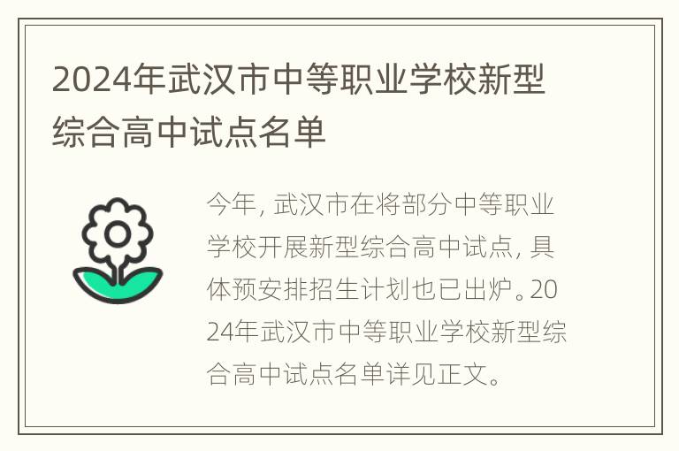 2024年武汉市中等职业学校新型综合高中试点名单