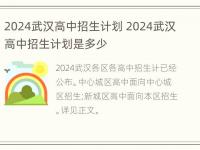 2024武汉高中招生计划 2024武汉高中招生计划是多少