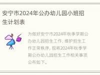 安宁市2024年公办幼儿园小班招生计划表