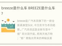 breeze是什么车 BREEZE是什么车?