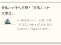 智跑ace什么意思？（智跑ACE什么意思）